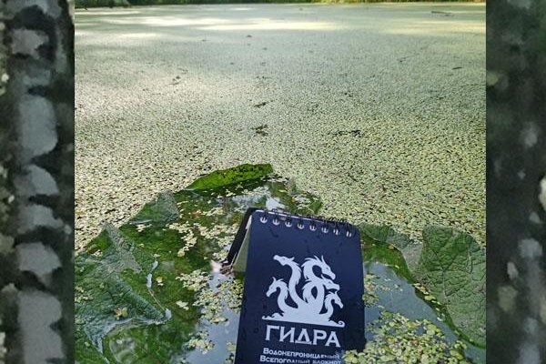 Как восстановить доступ к кракену