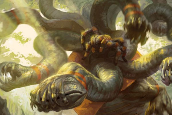 Kraken18 at