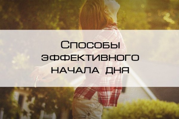 Ссылка кракен через тор