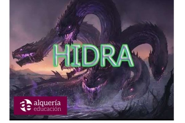 Kraken что это за сайт
