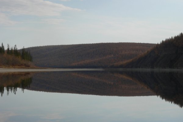 Кракен порошок