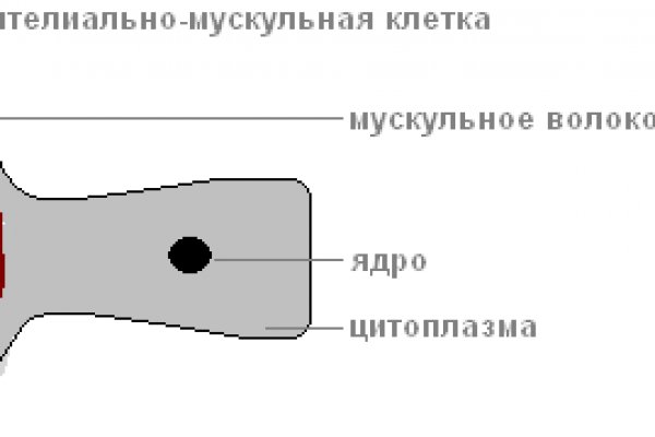 Сайт наркотиков купить