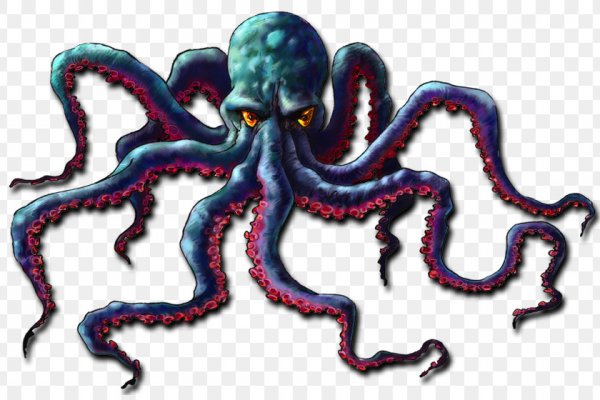 Kraken 24at