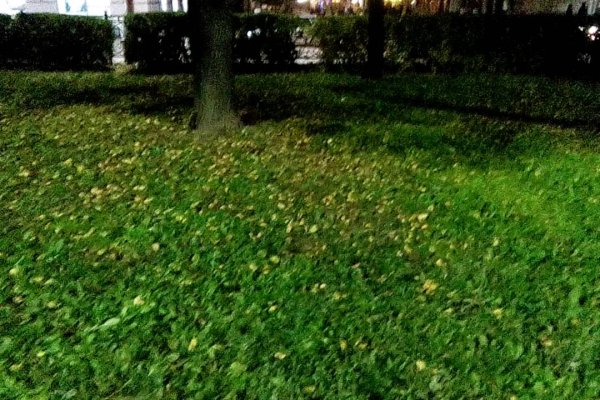 Оригинальный сайт кракен