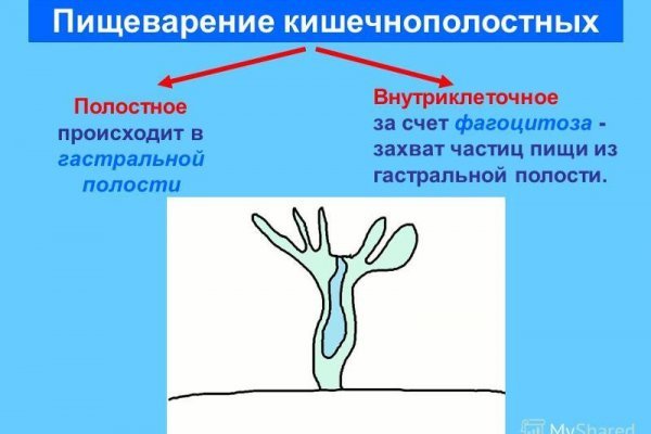 Почему не работает кракен сегодня